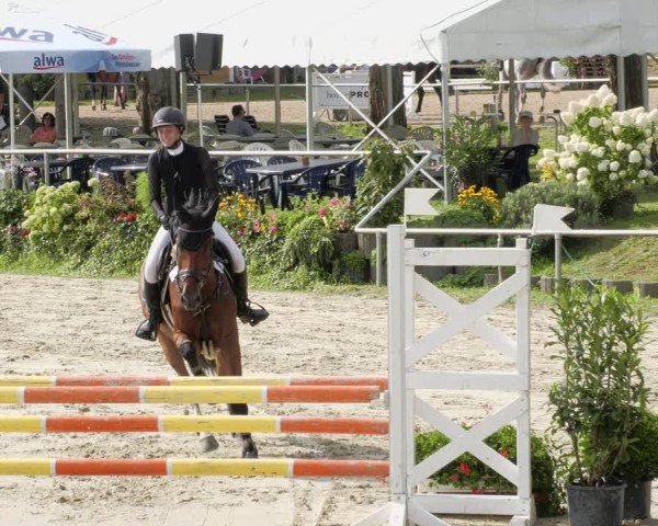 Reitturnier Oberderdingen 2024