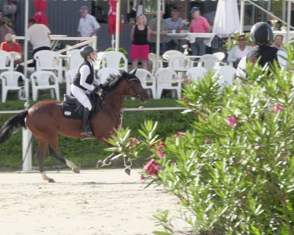 Reitturnier Oberderdingen 2024