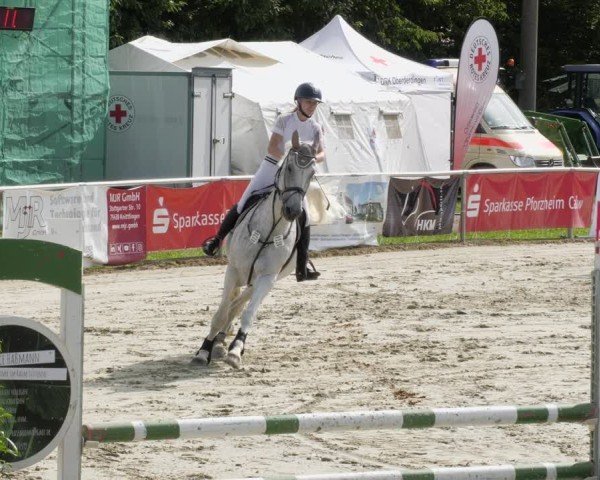 Reitturnier Oberderdingen 2024