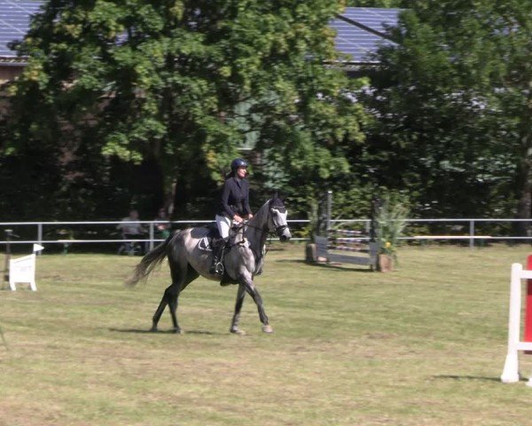 Reitturnier Woldegk 2024