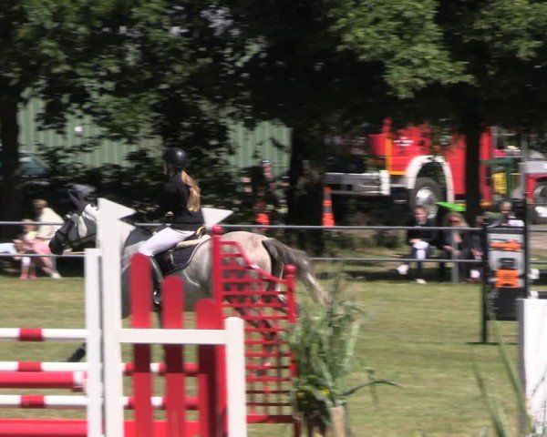 Reitturnier Woldegk 2024