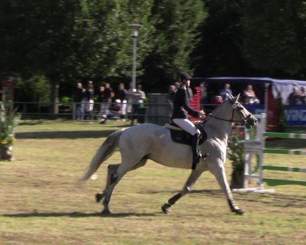 Reitturnier Woldegk 2024