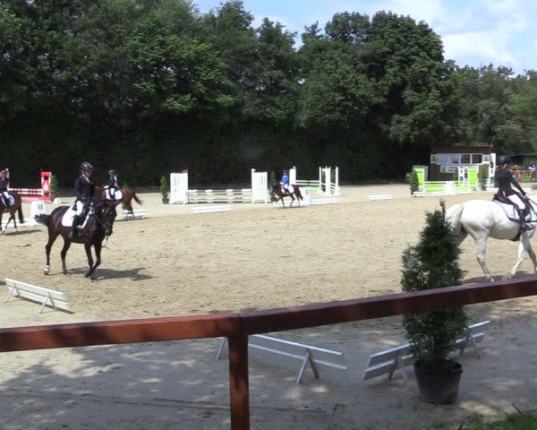 Reitturnier Arnsberg-Holzen 2024