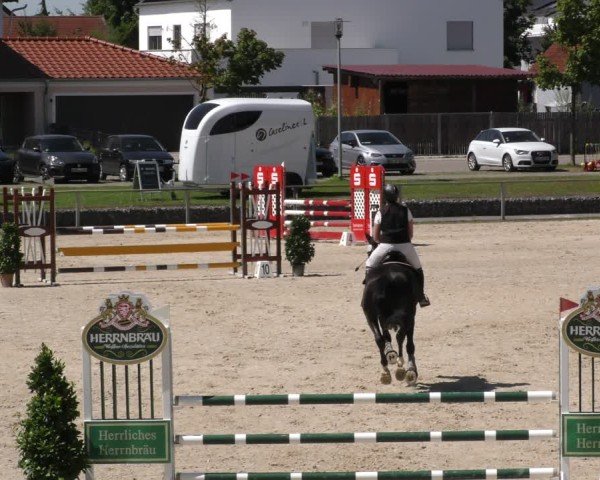 Reitturnier Ingolstadt - Hagau 2024