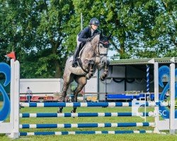 jumper Looney Tunes 3 (German Sport Horse, 2019, from Cyrill D)