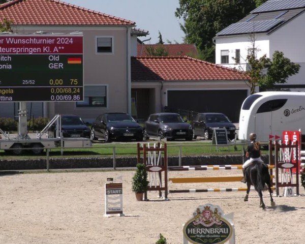 Reitturnier Ingolstadt - Hagau 2024