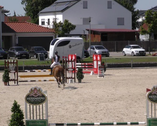 Reitturnier Ingolstadt - Hagau 2024