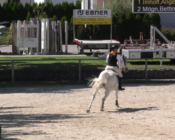 Reitturnier Ingolstadt - Hagau 2024