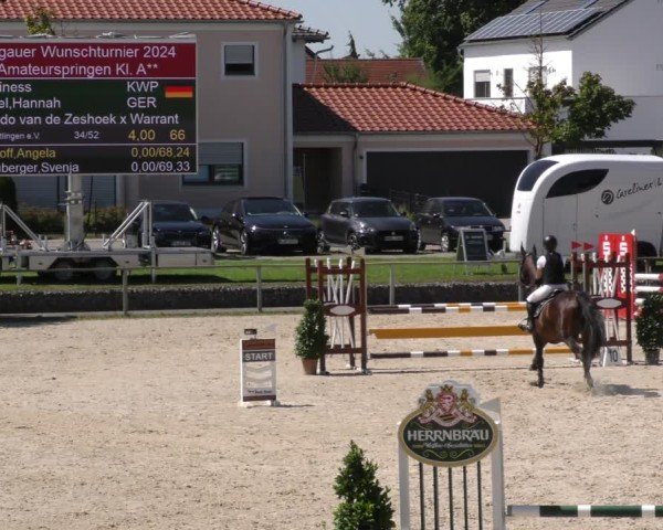 Reitturnier Ingolstadt - Hagau 2024