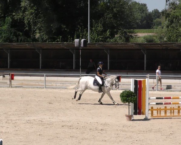Reitturnier Ingolstadt - Hagau 2024