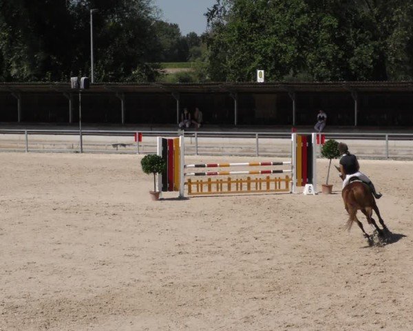 Reitturnier Ingolstadt - Hagau 2024