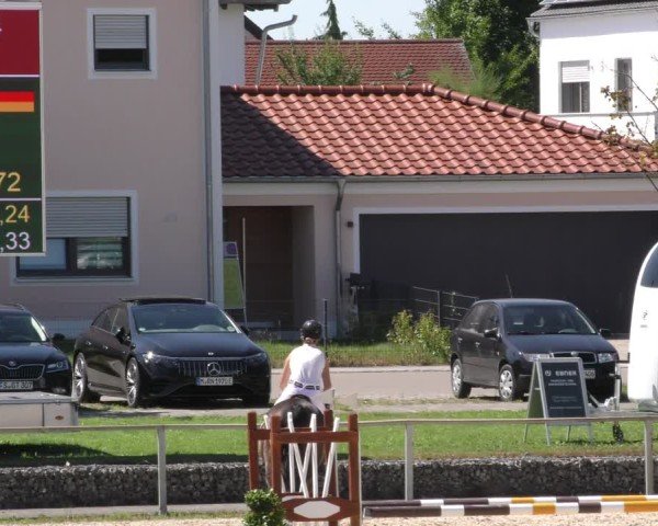 Reitturnier Ingolstadt - Hagau 2024