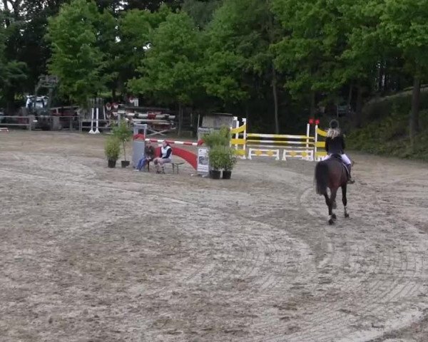 Iserlohn-Kalthof 2013