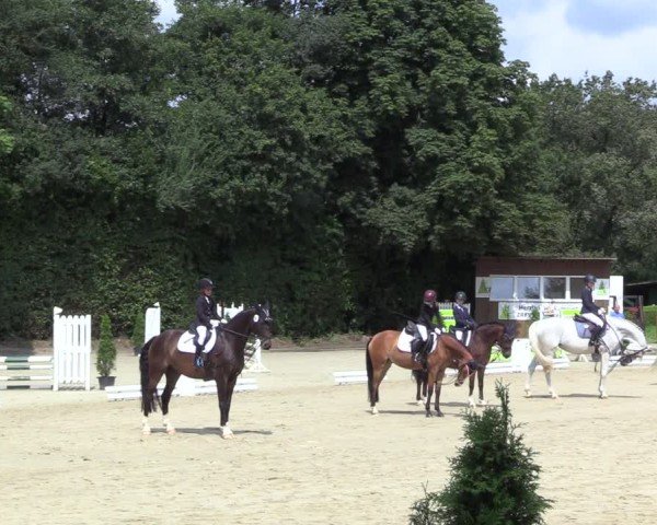 Reitturnier Arnsberg-Holzen 2024