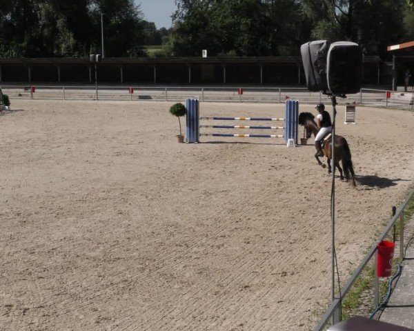 Reitturnier Ingolstadt - Hagau 2024