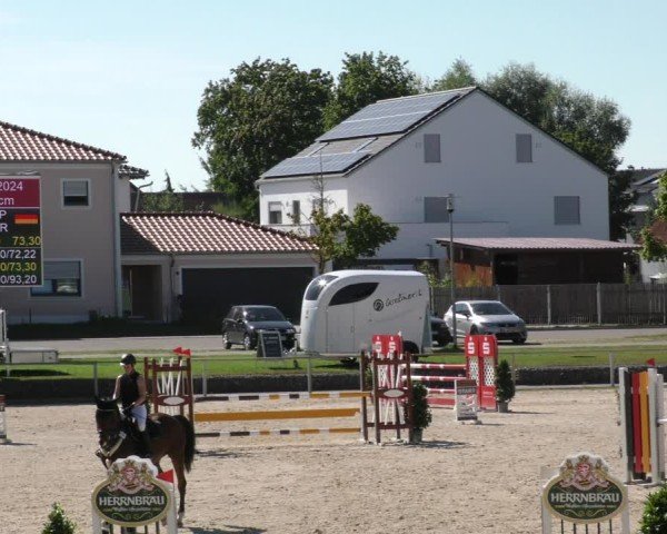 Reitturnier Ingolstadt - Hagau 2024
