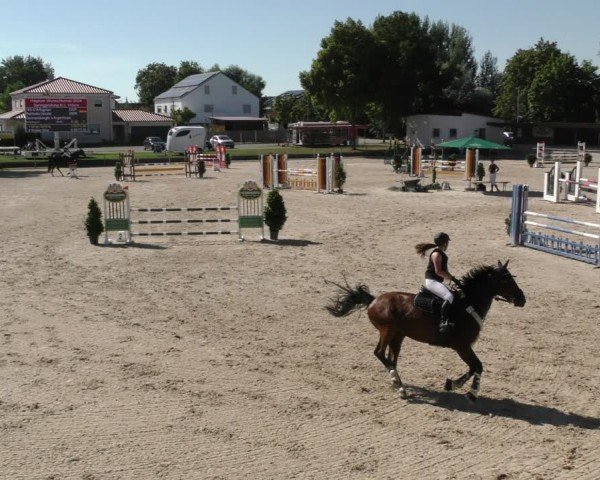 Reitturnier Ingolstadt - Hagau 2024