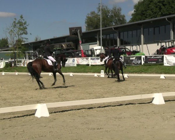 Reitturnier Bergisch Gladbach - Hebborner Hof 2024