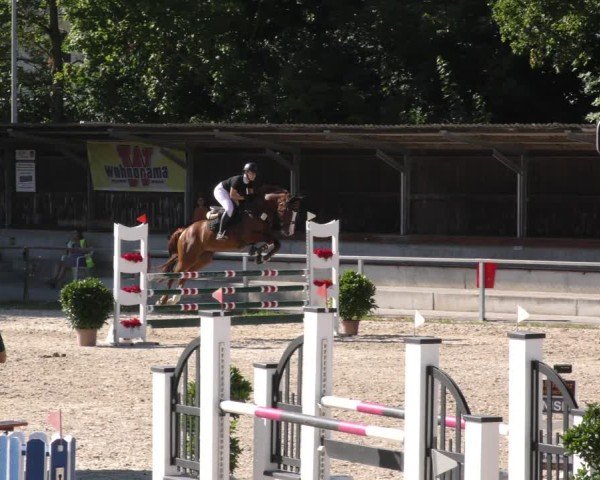 Reitturnier Ingolstadt - Hagau 2024