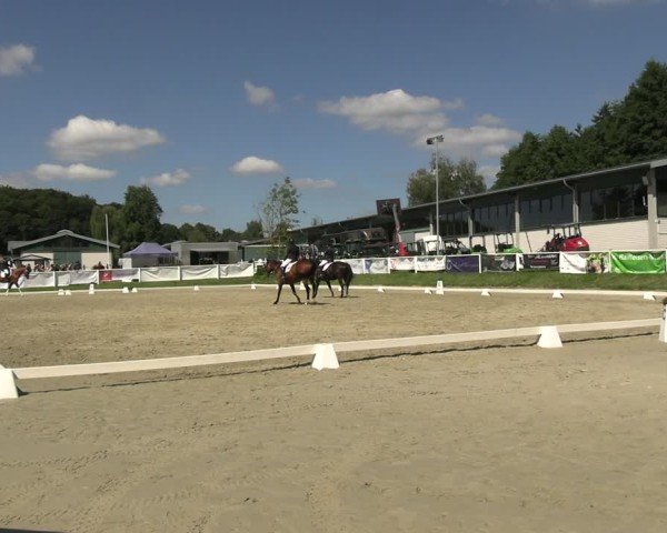 Reitturnier Bergisch Gladbach - Hebborner Hof 2024
