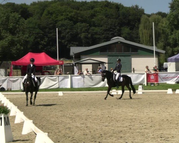 Reitturnier Bergisch Gladbach - Hebborner Hof 2024