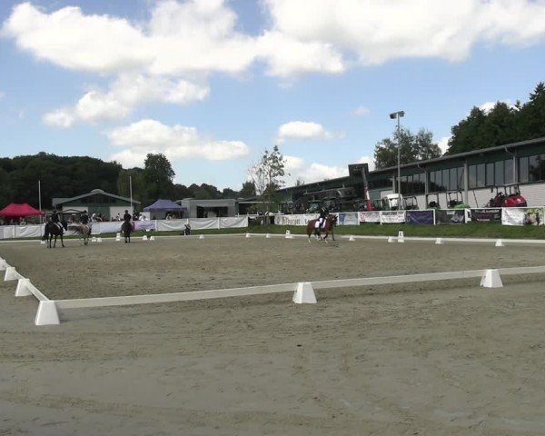 Reitturnier Bergisch Gladbach - Hebborner Hof 2024