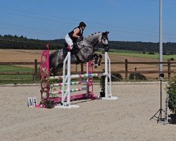 jumper Chupa Smart (Holsteiner, 2016, from Calido I)