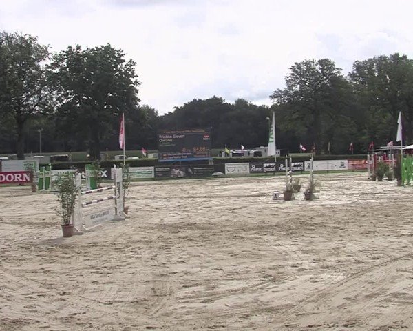 Reitturnier Münster-Handorf | Westfalen-Woche 2024