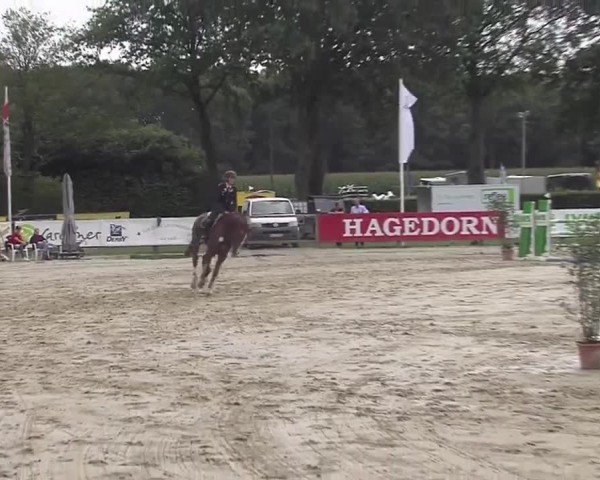 Reitturnier Münster-Handorf 2024