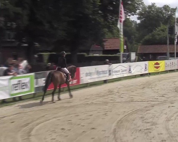 Reitturnier Münster-Handorf | Westfalen-Woche 2024