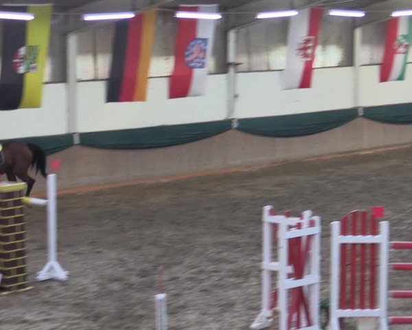 Reitturnier Wollersleben 2021