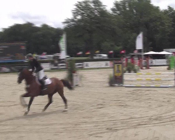 Reitturnier Münster-Handorf | Westfalen-Woche 2024