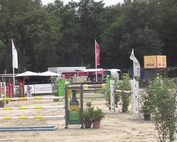 Reitturnier Münster-Handorf | Westfalen-Woche 2024