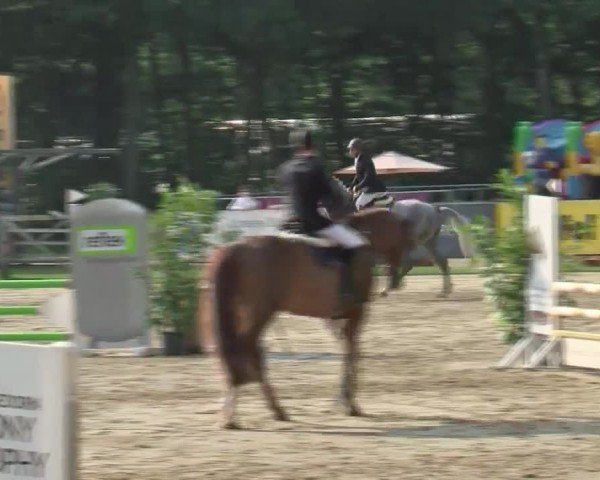 Reitturnier Münster-Handorf 2024