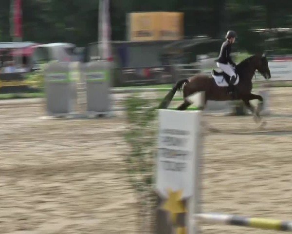 Reitturnier Münster-Handorf | Westfalen-Woche 2024