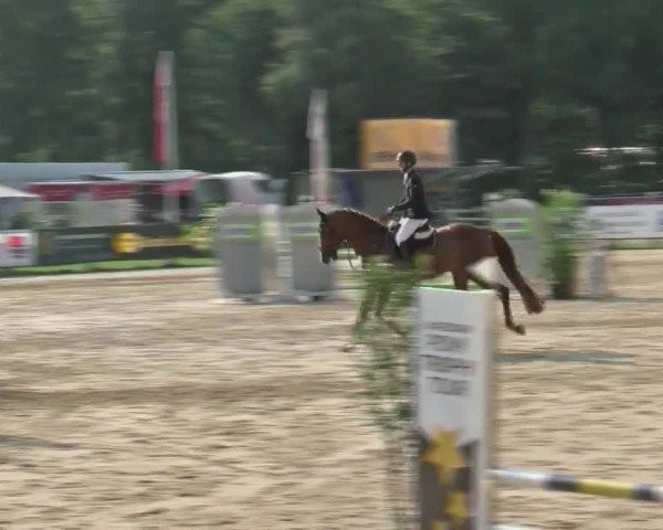Reitturnier Münster-Handorf 2024