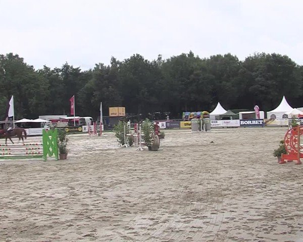 Reitturnier Münster-Handorf 2024