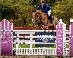 jumper Chili Palmer (Hanoverian, 2010, from Chacco-Blue)