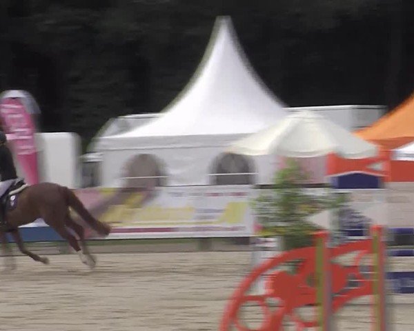 Reitturnier Münster-Handorf | Westfalen-Woche 2024