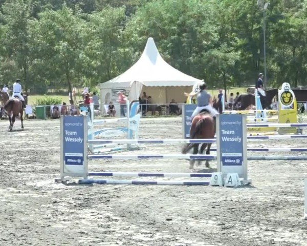 Reitturnier Horitschon 2024