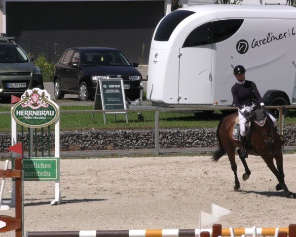 Reitturnier Ingolstadt - Hagau 2024