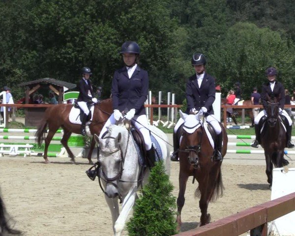 Reitturnier Arnsberg-Holzen 2024