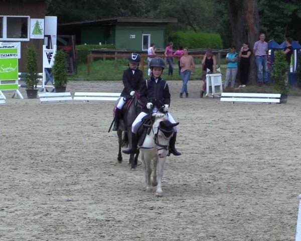 Reitturnier Arnsberg-Holzen 2024
