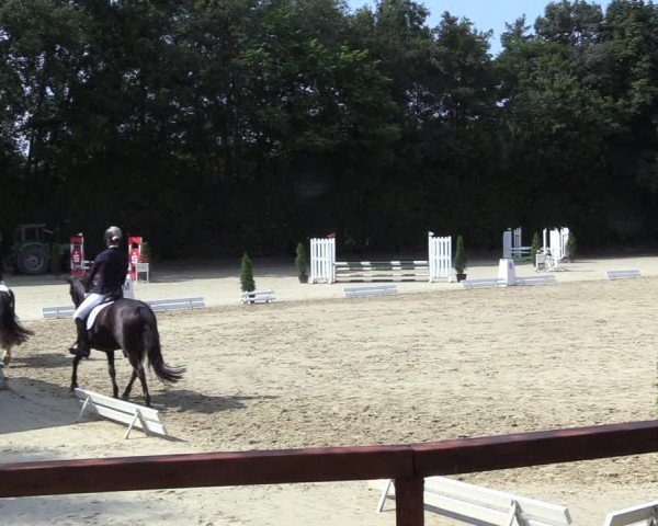 Reitturnier Arnsberg-Holzen 2024