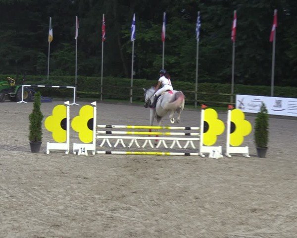 Reitturnier Klein Roscharden 2024