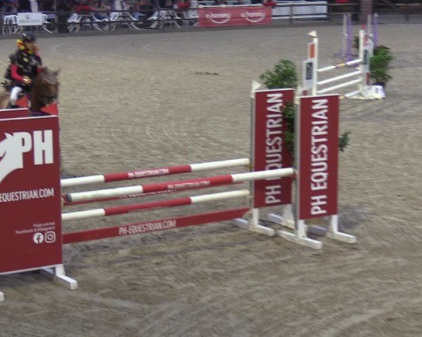 Reitturnier Klein Roscharden 2024