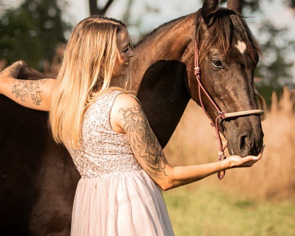 horse Deja Vue AM (Hanoverian, 2023, from Donier)