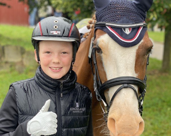 Springpferd First Mr. Macho (Niederländisches Pony, 2016, von FS Mr. Right)