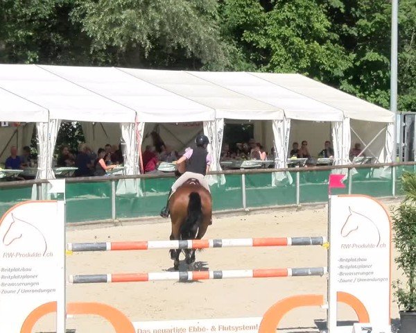 Reitturnier Schüpfheim 2024