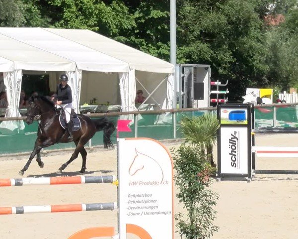 Reitturnier Schüpfheim 2024